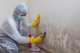 Best Mold Removal for HVAC Installations  in Narrows, VA